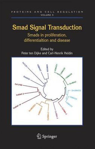 Cover image for Smad Signal Transduction: Smads in Proliferation, Differentiation and Disease