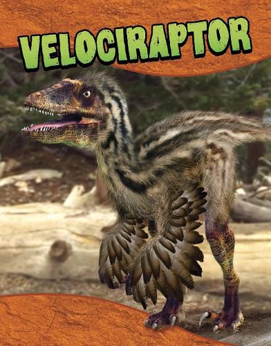 Cover image for Velociraptor
