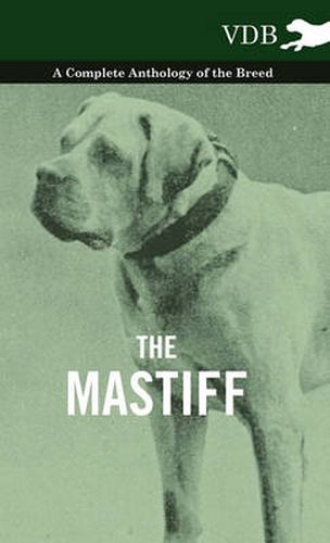 Cover image for The Mastiff - A Complete Anthology of the Breed