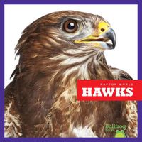 Cover image for Hawks