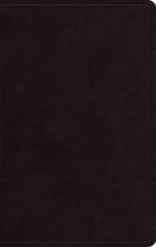 Cover image for ESV Giant Print Personal Size Bible, Red Letter