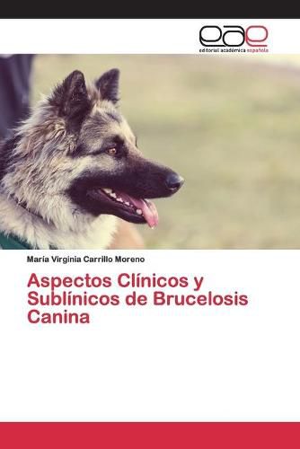 Aspectos Clinicos y Sublinicos de Brucelosis Canina