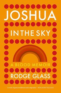 Cover image for Joshua in the Sky