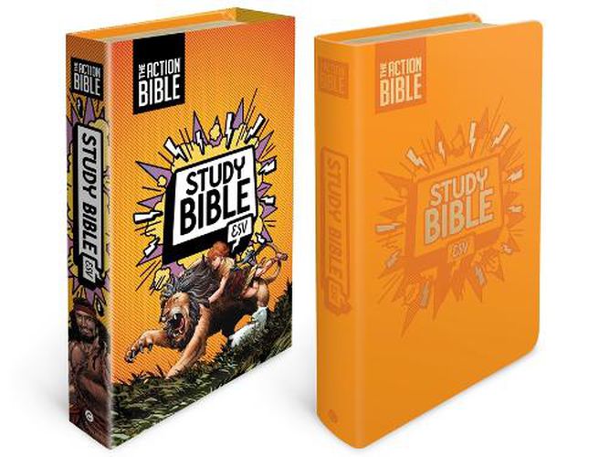 Cover image for AB STUDY BIBLE ESV ORANGE