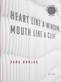 Cover image for Heart Like a Window, Mouth Like a Cliff