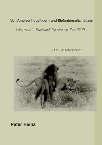 Cover image for Von Ameisenhugeltigern und Elefantenspitzmausen: Unterwegs im Kgalagadi Transfrontier Nationalpark (KTP)