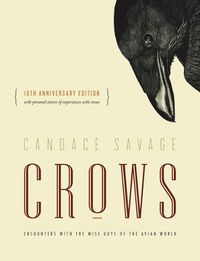 Cover image for Crows: Encounters with the Wise Guys of the Avian World {10th anniversary edition}