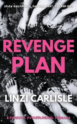 Cover image for Revenge Plan