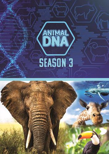 Animal Dna: Season Three 