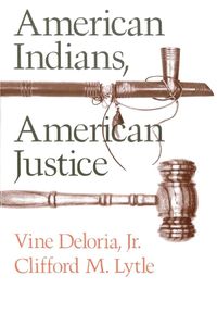 Cover image for American Indians, American Justice