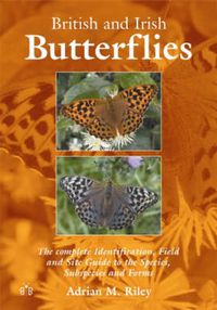 Cover image for British and Irish Butterflies: The Complete Identification, Field and Site Guide to the Species, Subspecies and Forms