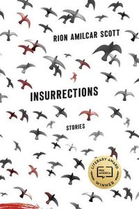 Cover image for Insurrections: Stories