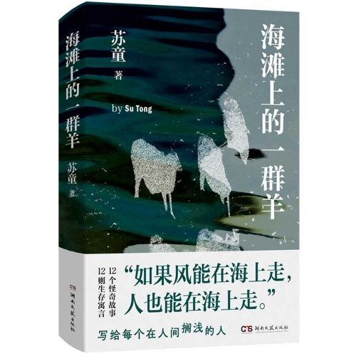 Cover image for A Flock of Sheep on the Beach
