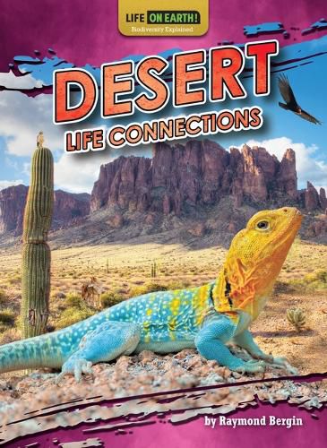 Cover image for Desert Life Connections