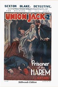 Cover image for Prisoner of the Harem