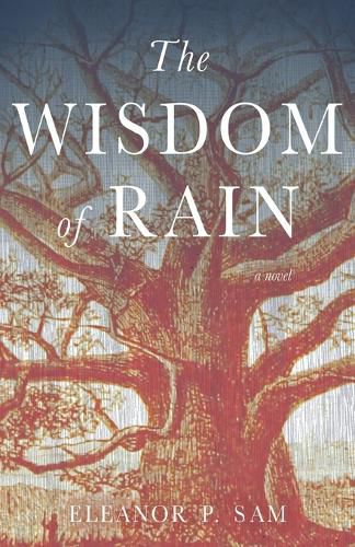 Cover image for The Wisdom of Rain