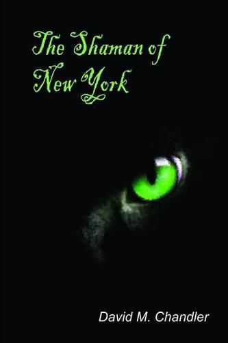 Cover image for Shaman of New York