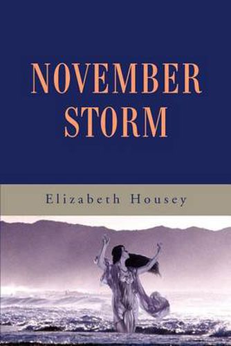 Cover image for November Storm