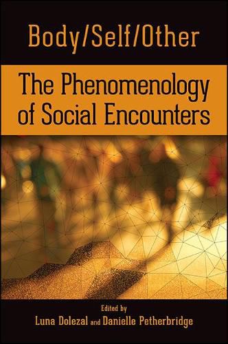 Cover image for Body/Self/Other: The Phenomenology of Social Encounters