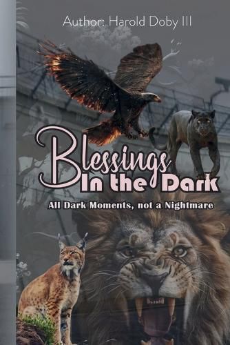 Cover image for Blessings in the Dark
