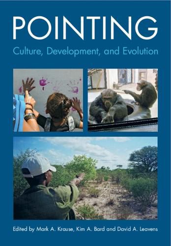 Cover image for Pointing