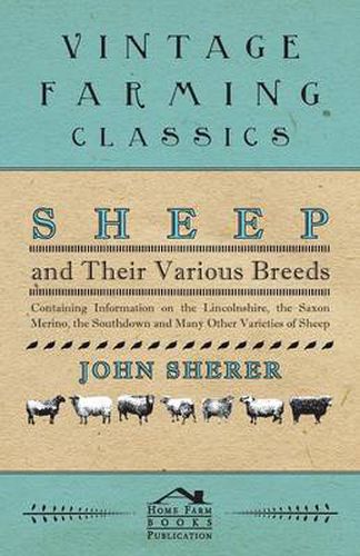 Cover image for Sheep and Their Various Breeds - Containing Information on the Lincolnshire, the Saxon Merino, the Southdown and Many Other Varieties of Sheep