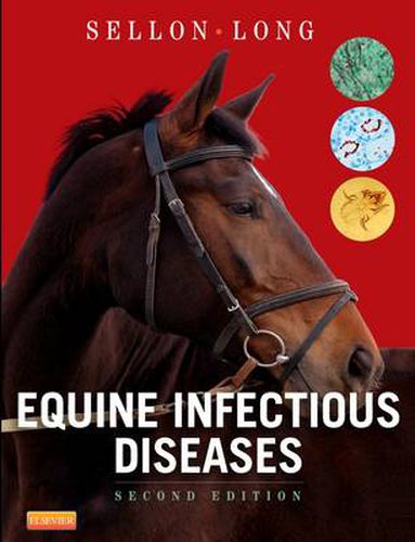 Cover image for Equine Infectious Diseases