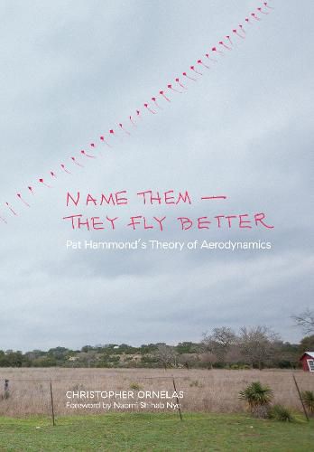 Name Them-They Fly Better: Pat Hammond's Theory of Aerodynamics