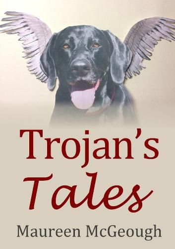 Cover image for Trojan's Tales