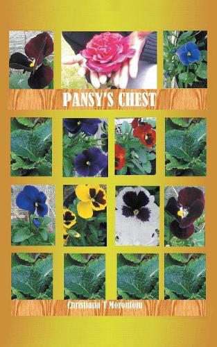 Cover image for Pansy'S Chest