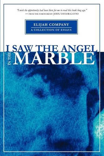 Cover image for I Saw the Angel in the Marble