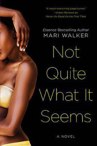 Cover image for Not Quite What It Seems