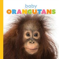 Cover image for Baby Orangutans