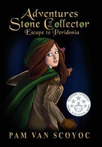 Cover image for Adventures of the Stone Collector