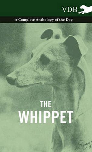 Cover image for The Whippet - A Complete Anthology of the Dog