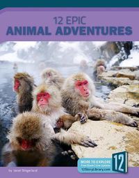 Cover image for 12 Epic Animal Adventures