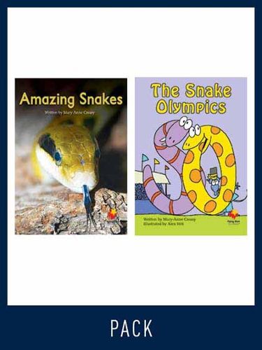 Cover image for Flying Start Guided Reading Level 15, Pack 5: Paired student books (6x6) and lesson plan (1)