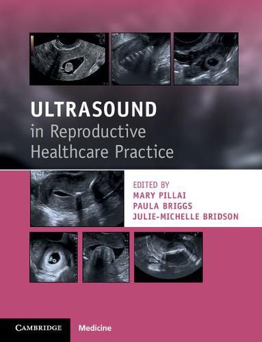 Cover image for Ultrasound in Reproductive Healthcare Practice