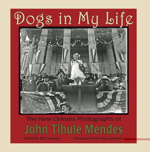 Cover image for Dogs in My Life: The Photographs of John Tibule Mendes