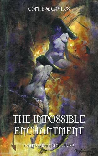 Cover image for The Impossible Enchantment