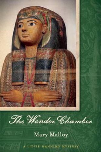 Cover image for The Wonder Chamber