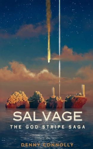 Cover image for Salvage