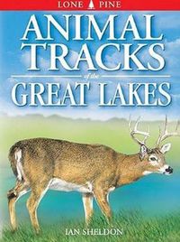 Cover image for Animal Tracks of the Great Lakes