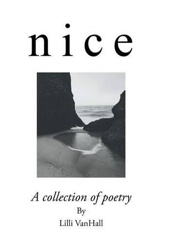 Cover image for n i c e