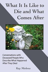 Cover image for What It Is Like to Die and What Comes After: Conversations with Deceased People Who Describe What Happened After They Died