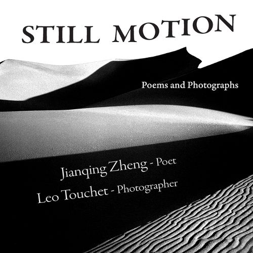 Cover image for Still Motion