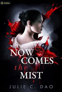 Cover image for Now Comes the Mist
