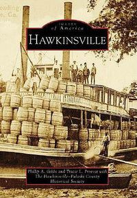 Cover image for Hawkinsville