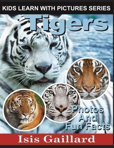 Cover image for Tigers: Photos and Fun Facts for Kids