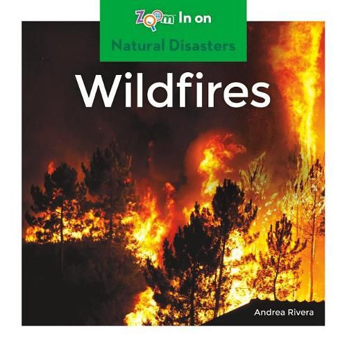 Cover image for Wildfires